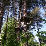 Tree climbing with Adventure Camp