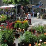 Marchés locaux en sud Ardèche