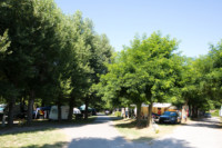 Camp-site mobile homes