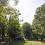 Emplacements du camping