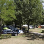 Emplacements du camping