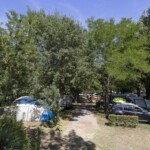 Emplacements du camping